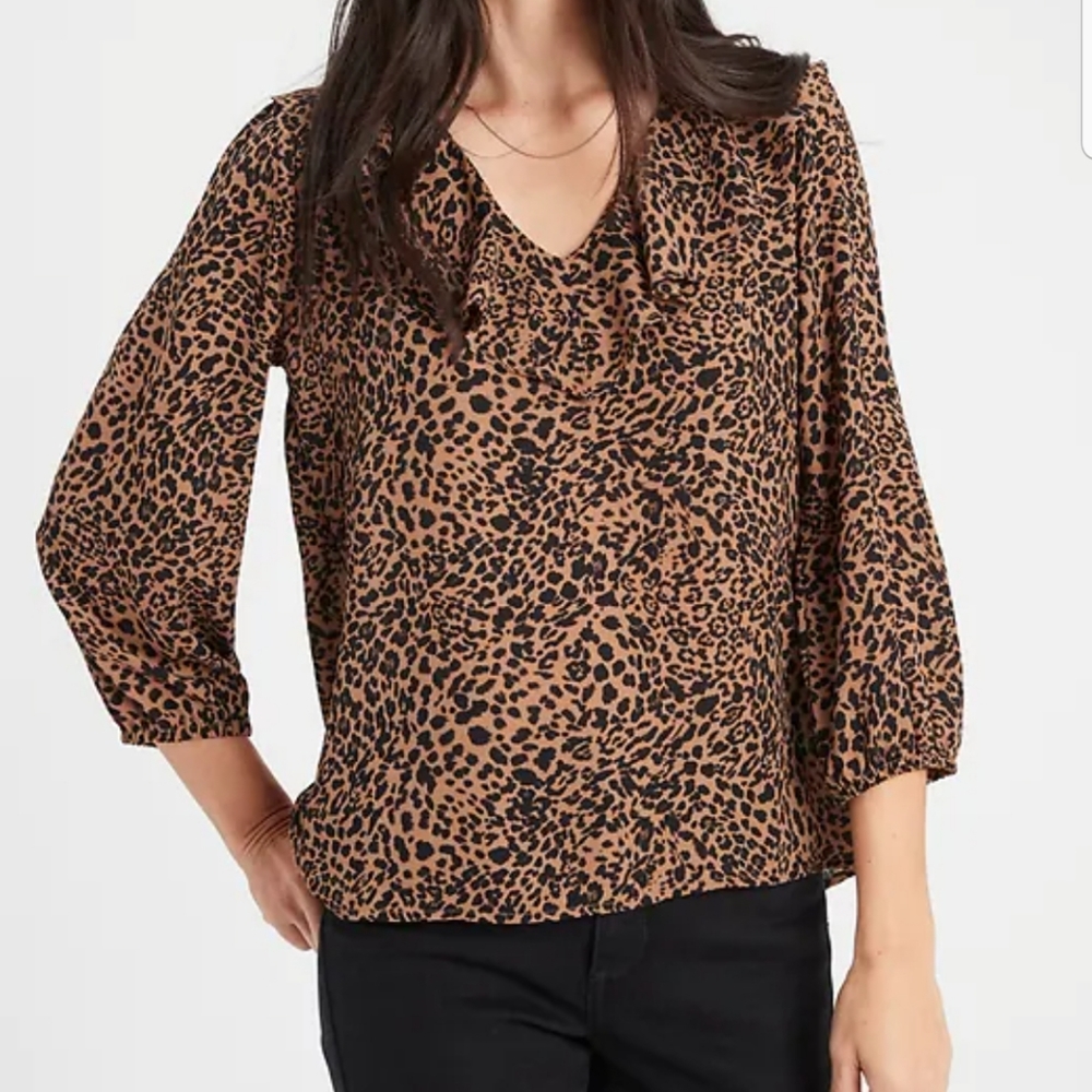 BANANA REPUBLIC RUFFLE V NECK BLOUSE